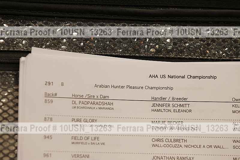 Proof Number 10usn_13263