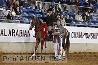 10usn_19943 thumbnail