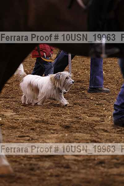 Proof Number 10usn_19963