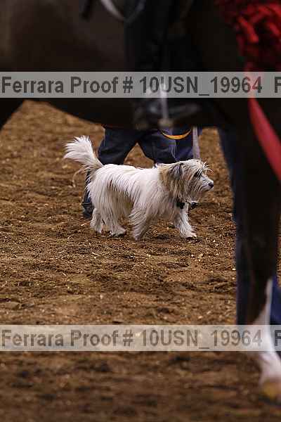 Proof Number 10usn_19964