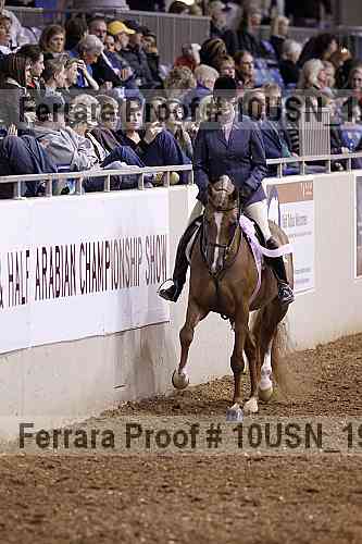 Proof Number 10usn_19529