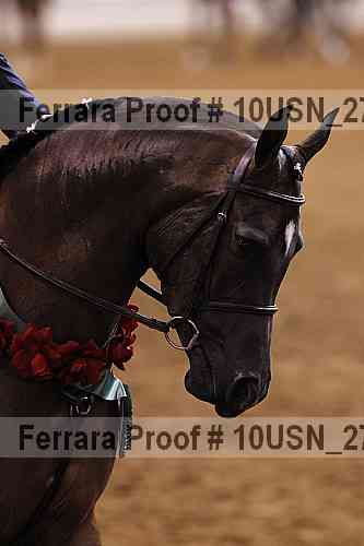 Proof Number 10usn_27360