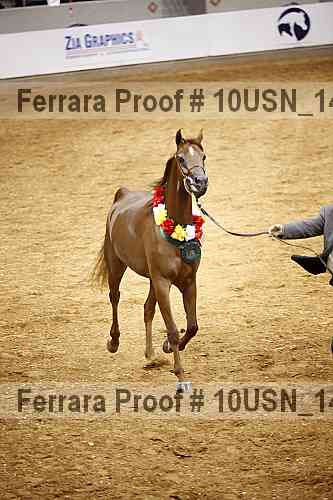 Proof Number 10usn_14558