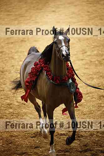 Proof Number 10usn_14562
