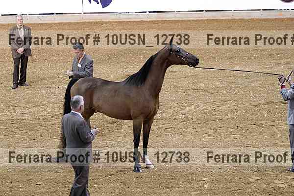 Proof Number 10usn_12738