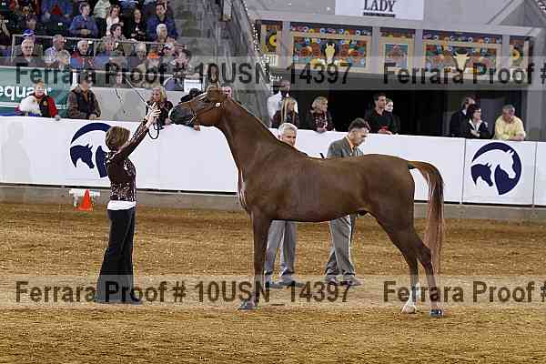 Proof Number 10usn_14397