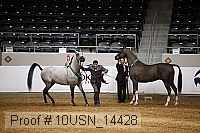 10usn_14428 thumbnail