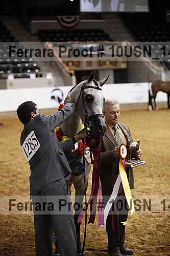 Proof Number 10usn_14437