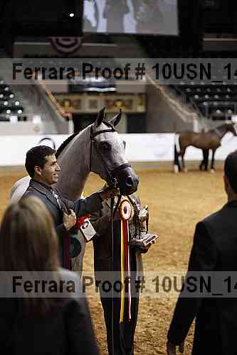 Proof Number 10usn_14438
