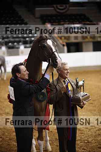 Proof Number 10usn_14465