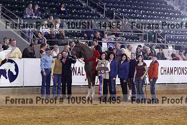 Proof Number 10usn_14495