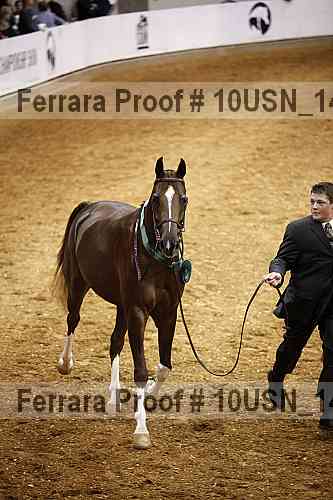 Proof Number 10usn_14499