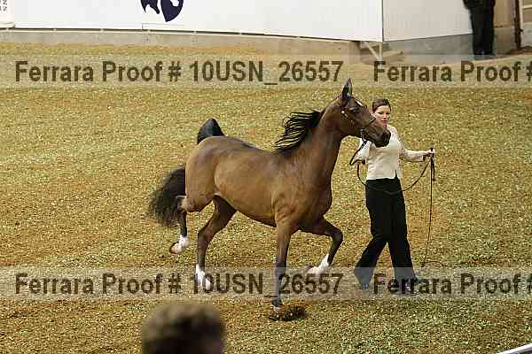 Proof Number 10usn_26557