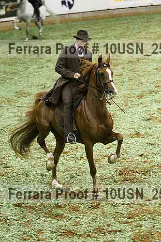 Proof Number 10usn_25360