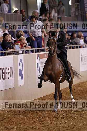 Proof Number 10usn_09992