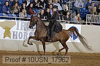 10usn_17962 thumbnail