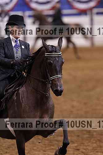 Proof Number 10usn_17976
