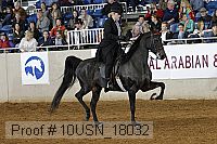 10usn_18032 thumbnail
