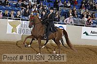 10usn_20881 thumbnail