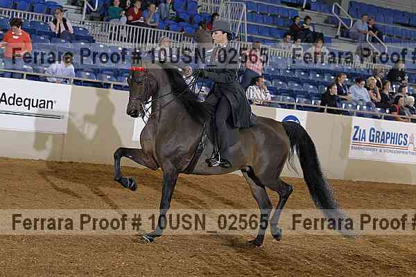 Proof Number 10usn_02565