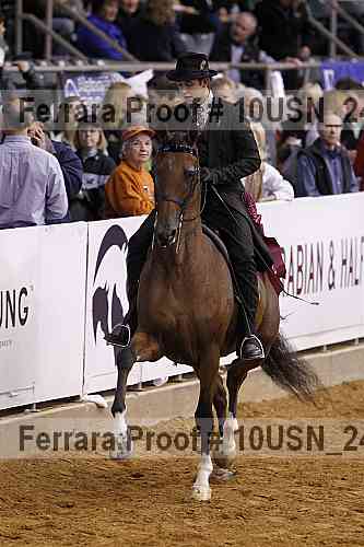 Proof Number 10usn_24690