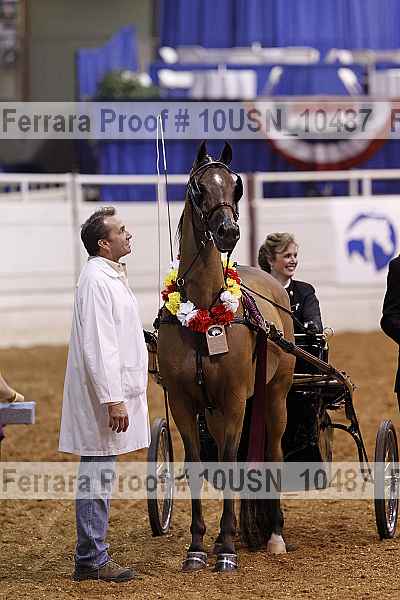 Proof Number 10usn_10487