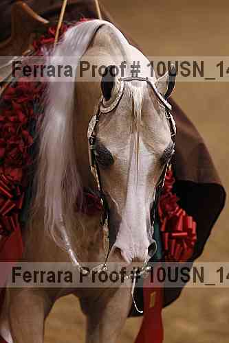 Proof Number 10usn_14846