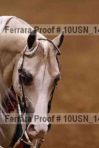 Proof Number 10usn_14848