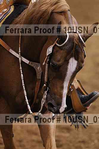 Proof Number 10usn_01278