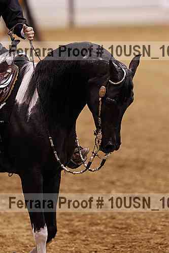 Proof Number 10usn_10975