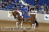 10usn_10981 thumbnail