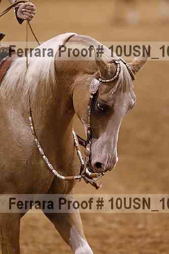 Proof Number 10usn_10998