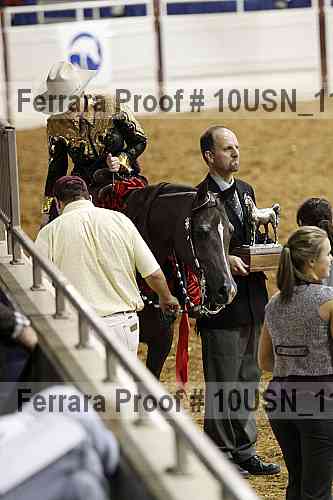 Proof Number 10usn_11066