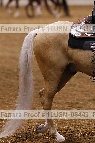 Proof Number 10usn_08443