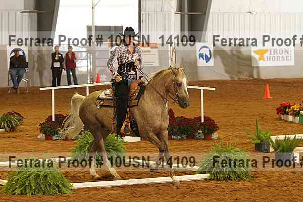 Proof Number 10usn_14109