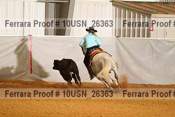 Proof Number 10usn_26363