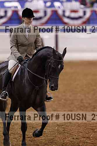 Proof Number 10usn_21065