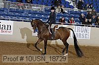 10usn_18729 thumbnail