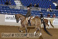 10usn_18745 thumbnail