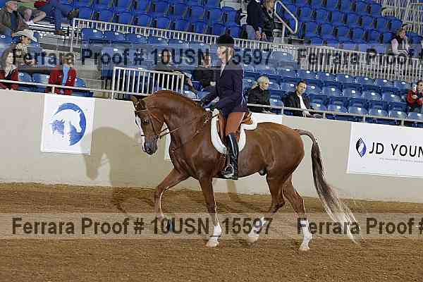 Proof Number 10usn_15597