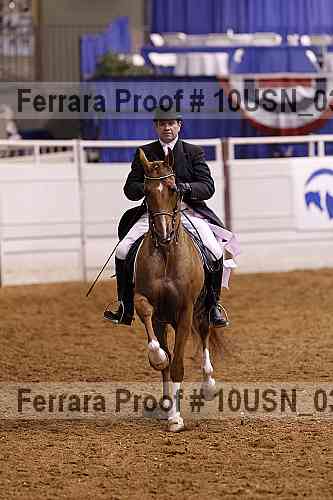 Proof Number 10usn_03339