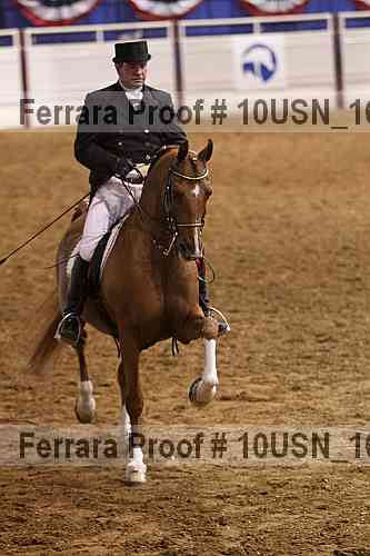 Proof Number 10usn_16161