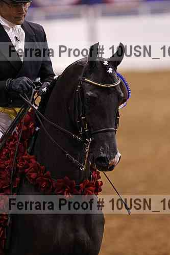 Proof Number 10usn_16195