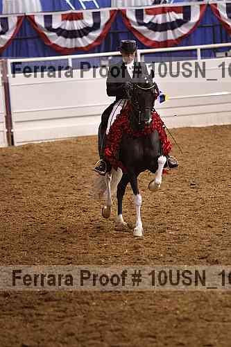 Proof Number 10usn_16204
