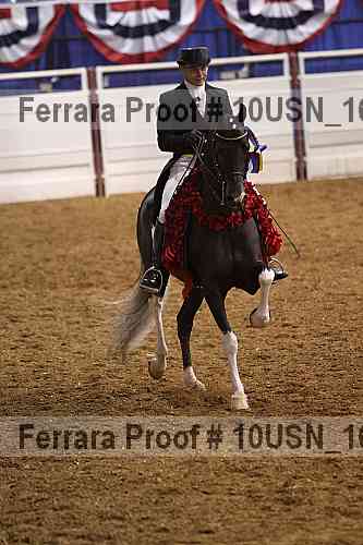 Proof Number 10usn_16205