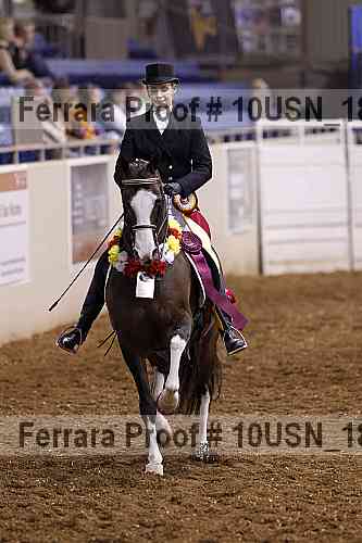 Proof Number 10usn_18565