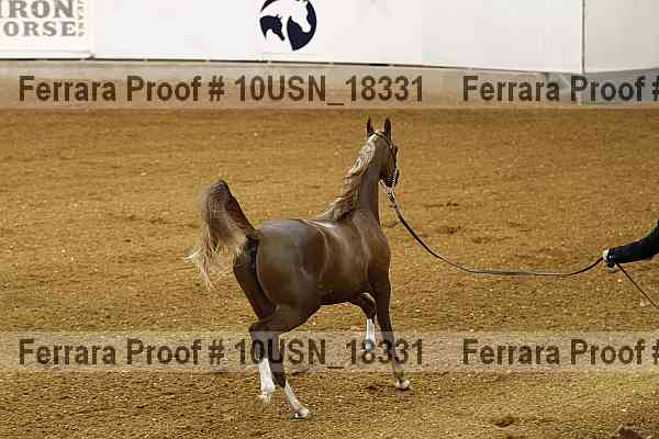 Proof Number 10usn_18331