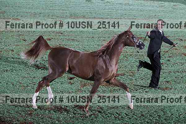 Proof Number 10usn_25141