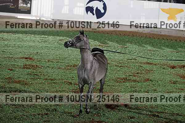 Proof Number 10usn_25146