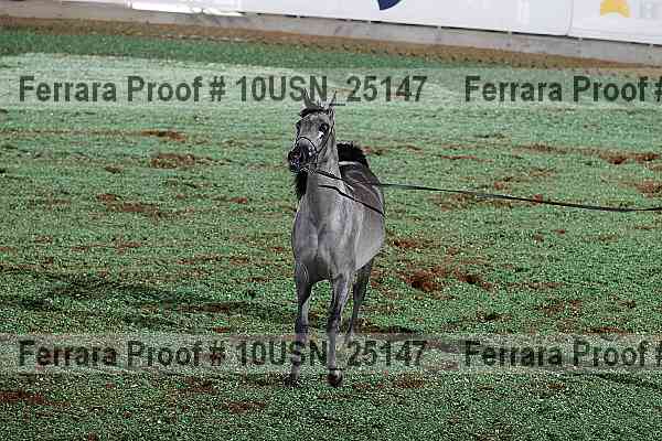Proof Number 10usn_25147